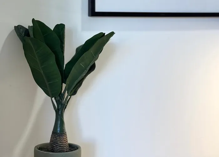 Le Prestige Et Chic 昂蒂布