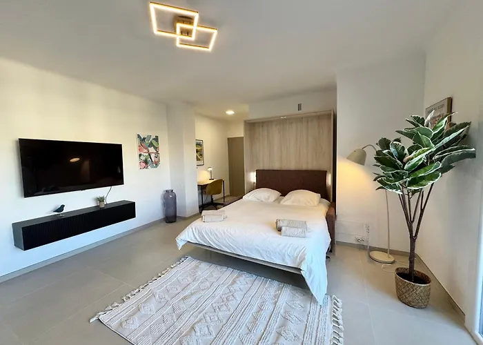 Le Prestige Et Chic 公寓 *